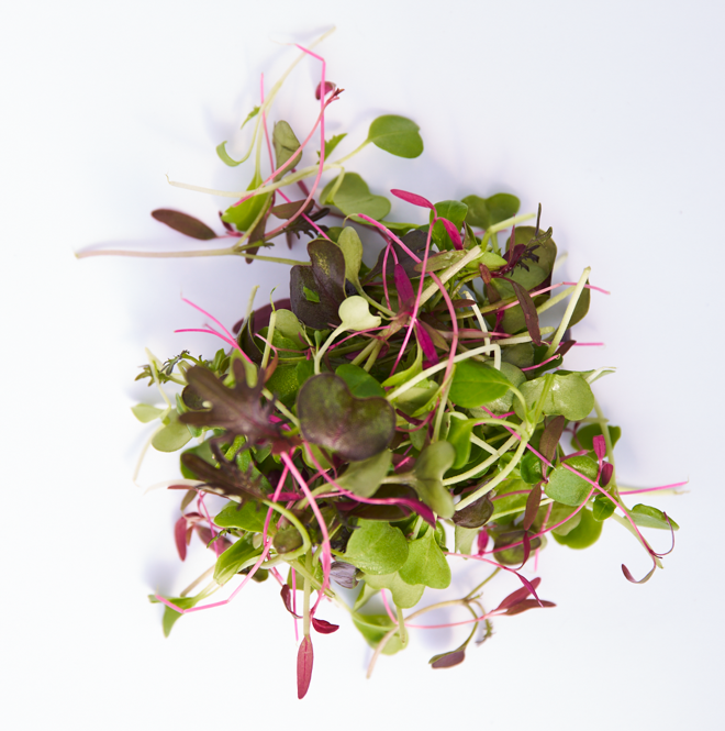 Fresh Micro Mix
