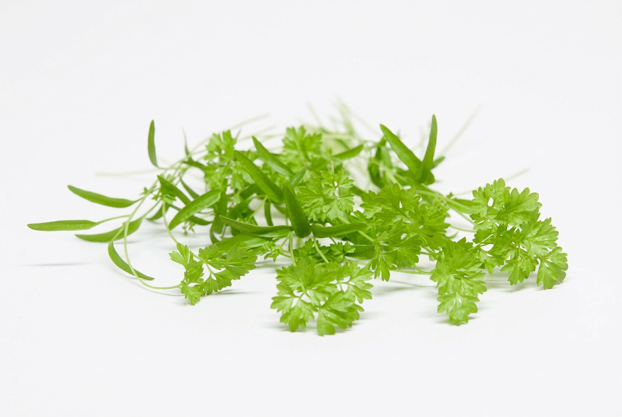 Fresh Chervil