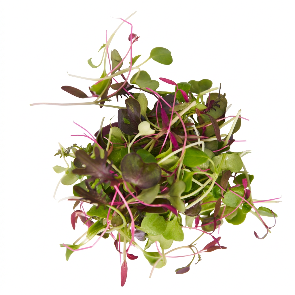 Fresh Micro Mix