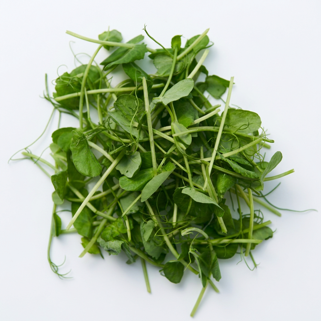 Fresh Pea Tendrils